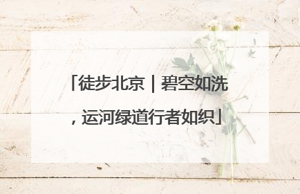 徒步北京｜碧空如洗，运河绿道行者如织